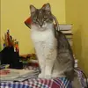 Отзыв от Виктория Герасимова